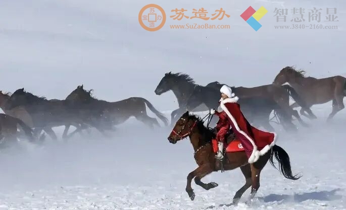 野史 吊贺娇龙赋